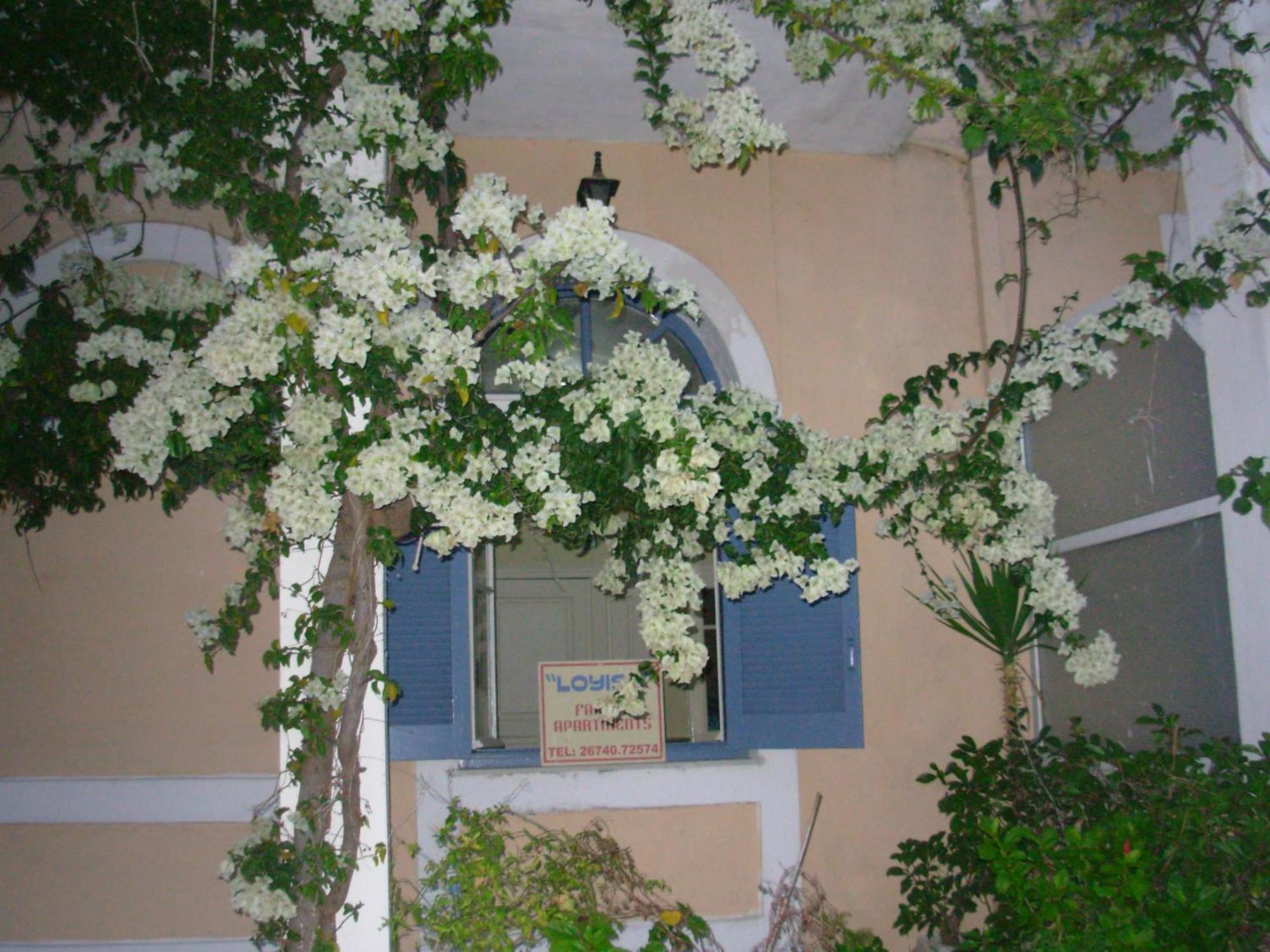 Louisa Studios Poros  Eksteriør bilde